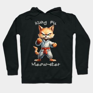 Kung Fu Cat Kung Fu Meowster Saying - Funny Cat Saying Hoodie